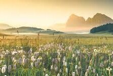 久久永久免费人妻精品-时光之河,探索人妻精品的永恒魅力